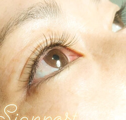 カラーフラットラッシュ140本⑧オフ無料