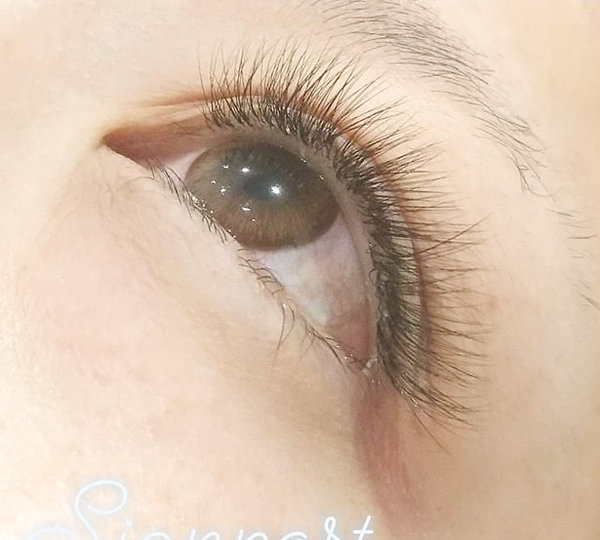 ボリュームラッシュ500本　オフ無料⑦|アイラッシュサロン　sign post　ふじみ野店