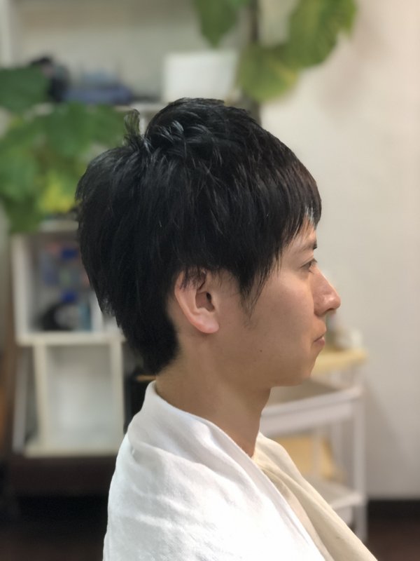 さわかやショート|Ａｕｓｌｅｓｅ【アウスレーゼ】