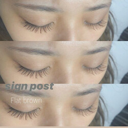 カラーフラットラッシュ140本⑤オフ無料