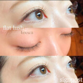 カラーフラットラッシュ140本　オフ無料⑧|sign post 志木店