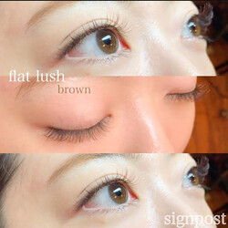 カラーフラットラッシュ140本　オフ無料⑧|sign post 志木店