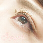 ブラウンエクステ120本⑨ オフ無料|アイラッシュサロン　sign post　ふじみ野店