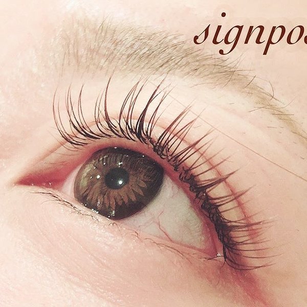 カラーフラットラッシュ140本⑤　オフ無料|sign post 志木店