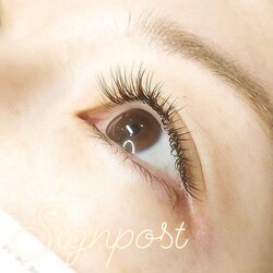 セーブルエクステ140本⑤ オフ無料