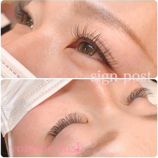 ボリュームラッシュ500本⑦ オフ無料|sign post 志木店