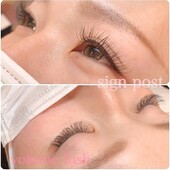 ボリュームラッシュ500本⑦ オフ無料|sign post 志木店