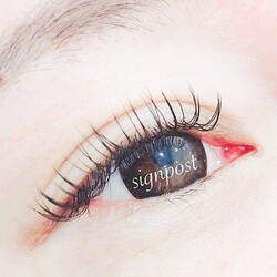 フラットラッシュ120本⑨オフ無料