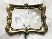 上品フレンチ|Rosi's Salon