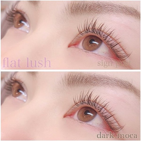 カラーフラットラッシュ150本　オフ無料|sign post 志木店