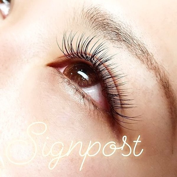 セーブルエクステ180本　オフ無料⑨|アイラッシュサロン　sign post　ふじみ野店