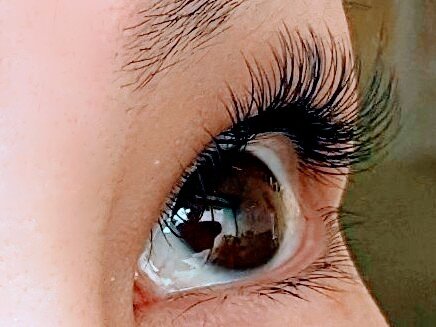 Wフラットセーブル