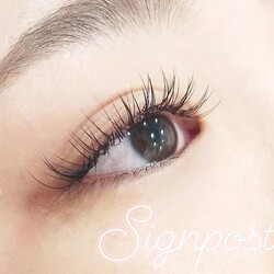 フラットラッシュ150本　オフ無料33|アイラッシュサロン　sign post　ふじみ野店