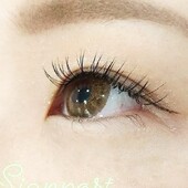 セーブルエクステ160本　オフ無料34|アイラッシュサロン　sign post　ふじみ野店