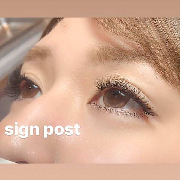 ボリュームラッシュ500本　オフ無料　36|sign post 志木店