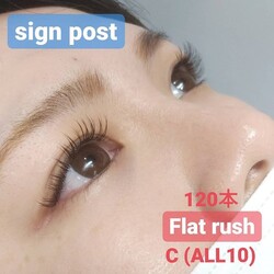 フラットラッシュ120本　オフ無料　37