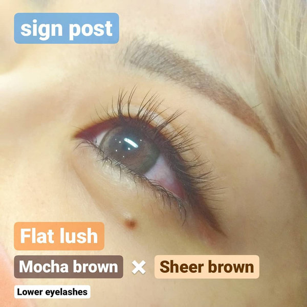 カラーフラットラッシュ140本オフ無料　36|アイラッシュサロン　sign post　ふじみ野店