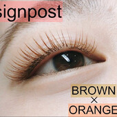 ブラウンエクステ180本　オフ無料　33|sign post 志木店