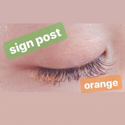 ブラウンエクステ140本オフ無料　43