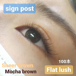 カラーフラットラッシュ100本オフ無料　55