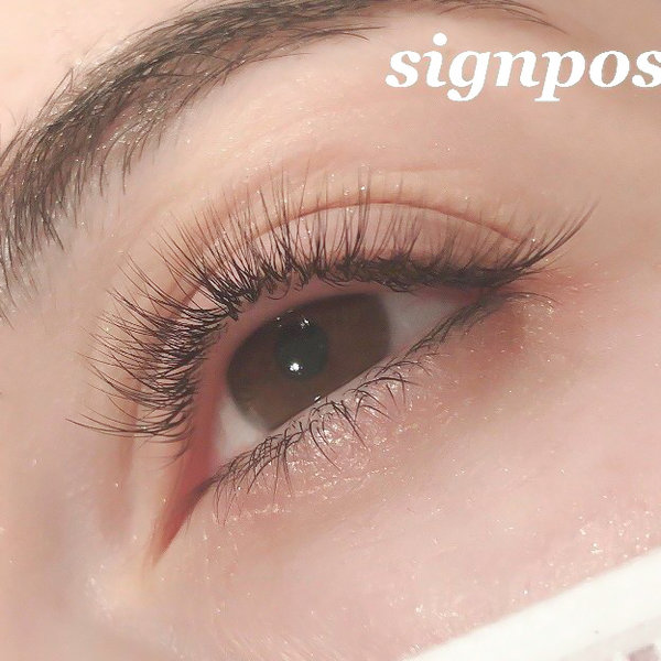 ボリュームラッシュ300本オフ無料　29|sign post 志木店