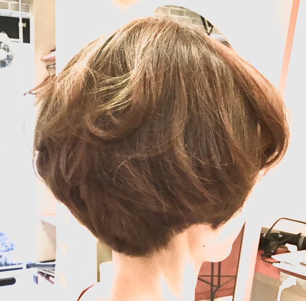 ルシアンサスまるみマッシュボブ|Prim K