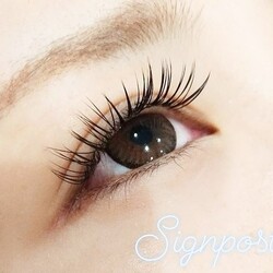 シルクエクステ120本オフ無料　51|sign post池袋東口店