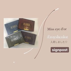 フラットラッシュ　新色