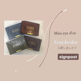 フラットラッシュ　新色|sign post池袋東口店