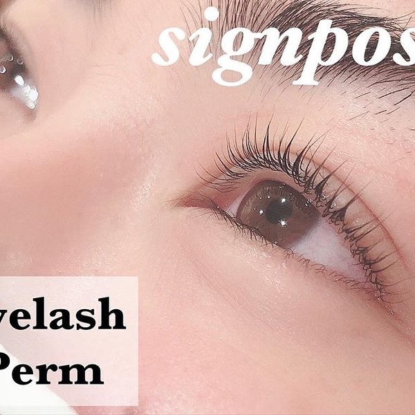 まつ毛パーマ 22|sign post 志木店