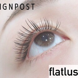 フラットラッシュ 33|sign post 志木店