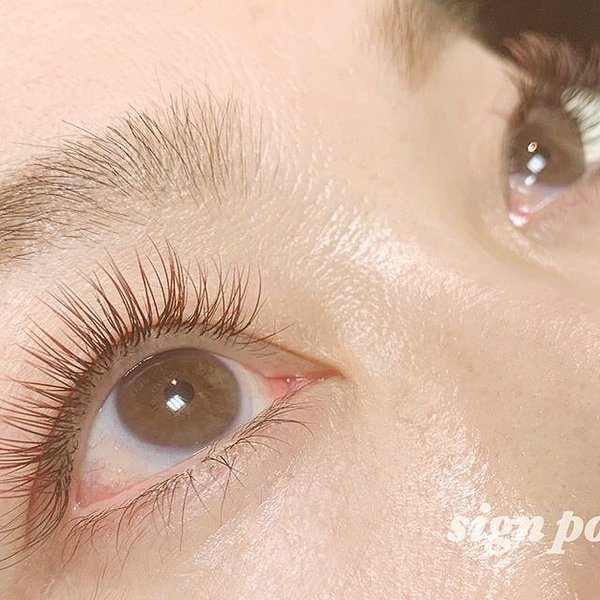 フラットラッシュ ブラウン×レッドブラウン|sign post 志木店