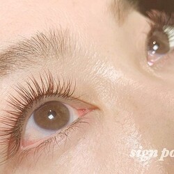 フラットラッシュ ブラウン×レッドブラウン|sign post 志木店