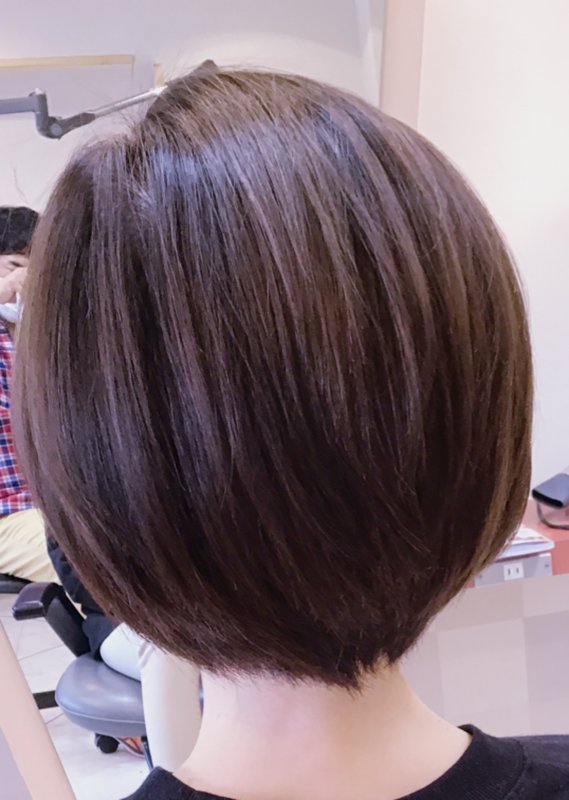 チャイティブラウン|Prim K