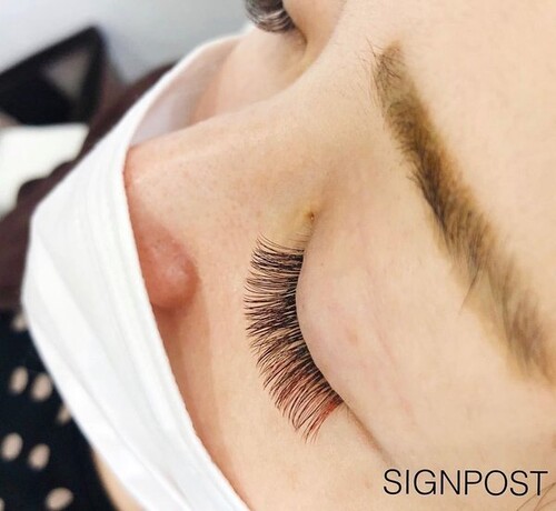 ボリュームラッシュ 500本 オフ無料 52