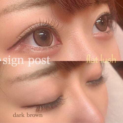 フラットラッシュ 100本 オフ無料 53