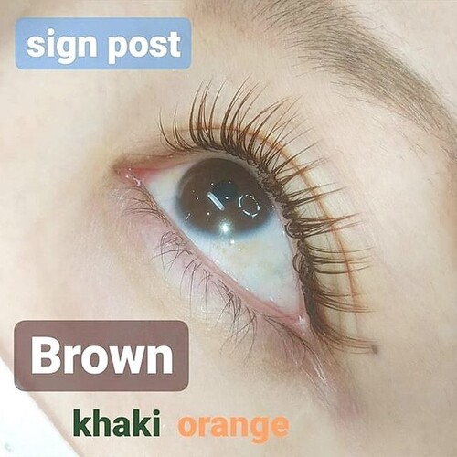 ブラウンエクステ 180本 オフ無料 54