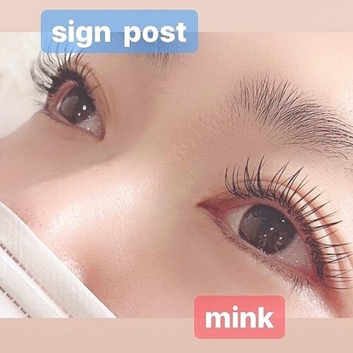 ミンクエクステ 160本 オフ無料 55