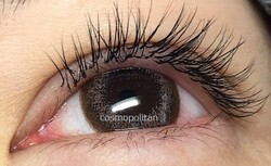 フラットセーブル140本|まつげエクステサロンcosmopolitan