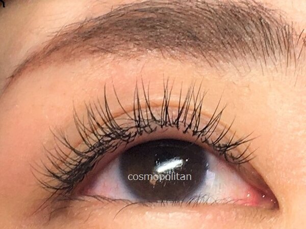 フラットセーブル140本|まつげエクステサロンcosmopolitan