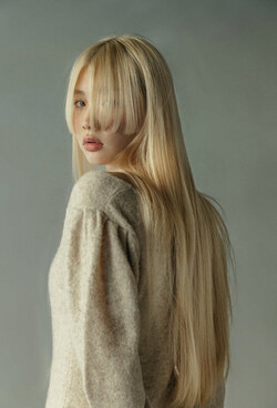 【Dayt.】ハイトーンロング