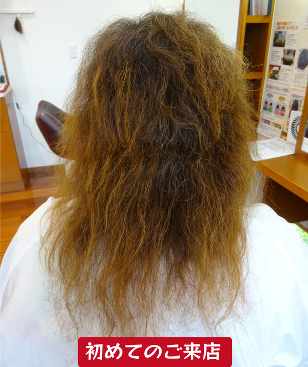 リカバリートリートメント|Inti