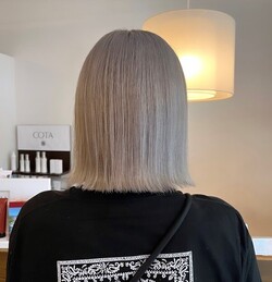 ホワイトカラー/BOB|Palms