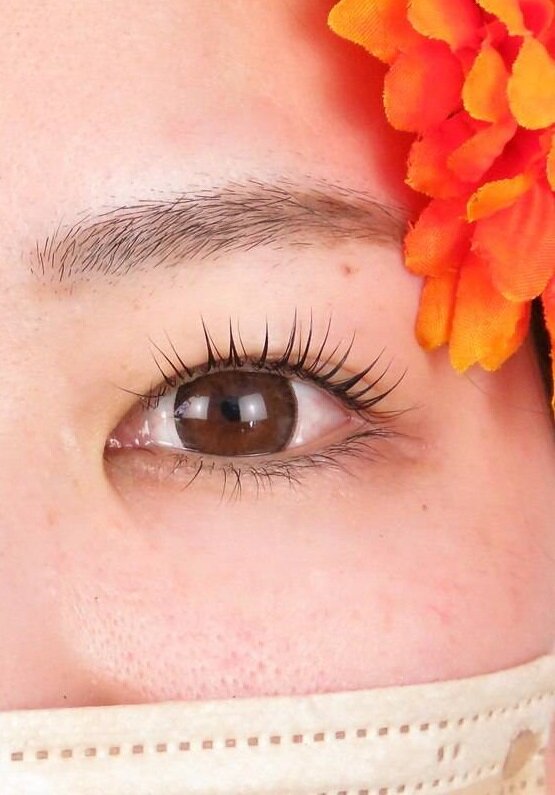 ラッシュリフト②|美容皮膚クリニック提携サロン　Lapis believe