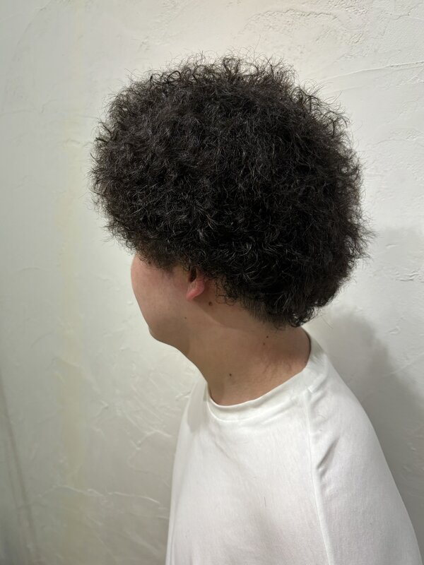 ビックアフロ|Infini-Y’s　ウェルディ長泉店