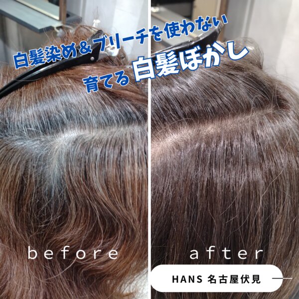 ブリーチも白髪染めも使わない『育てる』白髪ぼかし|美容室ＨＡＮＳ　名古屋　伏見