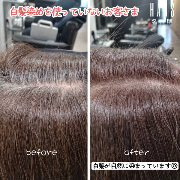 髪質改善ケアと「白髪染めを使わない」白髪ぼかし|美容室ＨＡＮＳ　名古屋　伏見