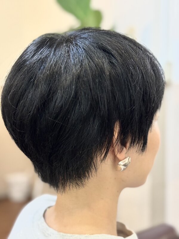 コンパクトショート|Concord  Hair