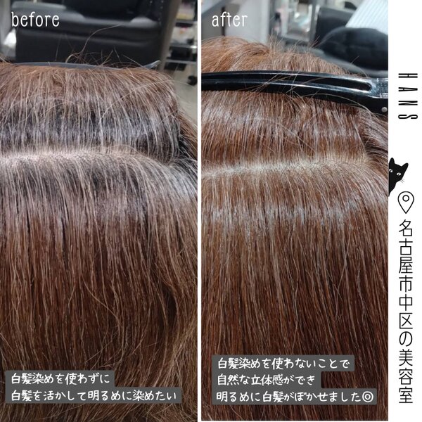 白髪を活かして、ブリーチ無しで明るめに 白髪ぼかし たい方必見！|美容室ＨＡＮＳ　名古屋　伏見