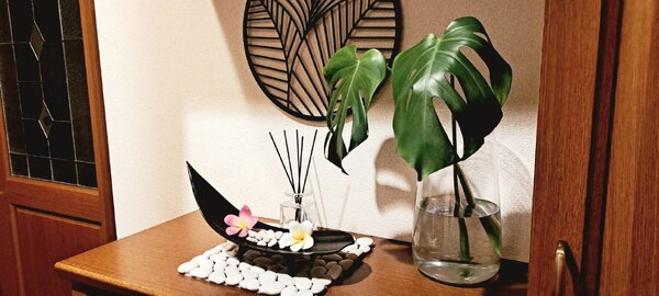 観葉植物|Ahau:diet slimming salon